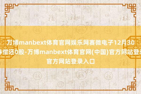 万博manbext体育官网娱乐网赛微电子12月30日融券偿还0股-万博manbext体育官网(中国)官方网站登录入口