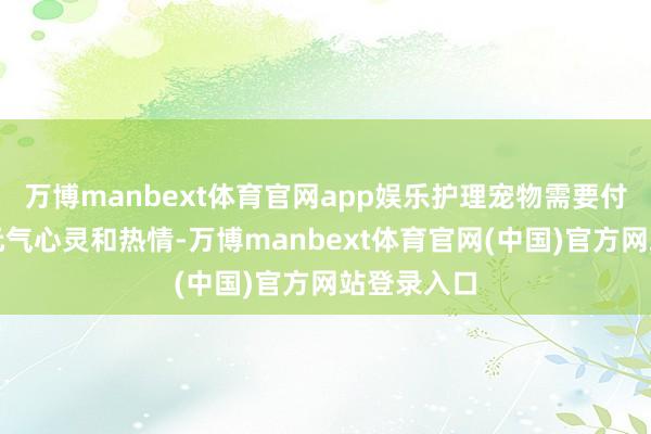 万博manbext体育官网app娱乐护理宠物需要付出技能、元气心灵和热情-万博manbext体育官网(中国)官方网站登录入口