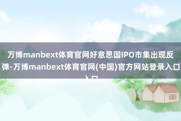 万博manbext体育官网好意思国IPO市集出现反弹-万博manbext体育官网(中国)官方网站登录入口