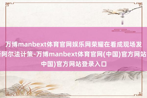 万博manbext体育官网娱乐网荣耀在看成现场发布了全新阿尔法计策-万博manbext体育官网(中国)官方网站登录入口
