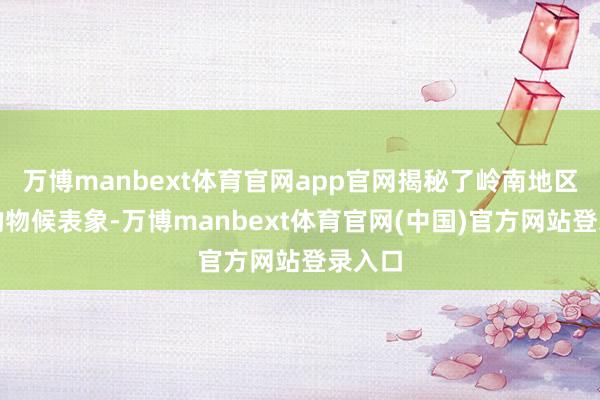 万博manbext体育官网app官网揭秘了岭南地区特有的物候表象-万博manbext体育官网(中国)官方网站登录入口