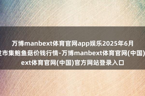 万博manbext体育官网app娱乐2025年6月24日宇宙主要批发市集鲍鱼菇价钱行情-万博manbext体育官网(中国)官方网站登录入口
