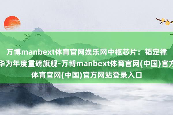 万博manbext体育官网娱乐网中枢芯片：韬定律麒麟平台手脚华为年度重磅旗舰-万博manbext体育官网(中国)官方网站登录入口