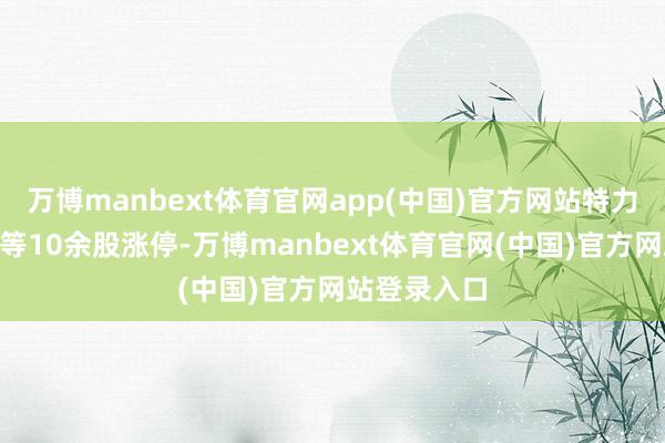万博manbext体育官网app(中国)官方网站特力A、深赛格等10余股涨停-万博manbext体育官网(中国)官方网站登录入口