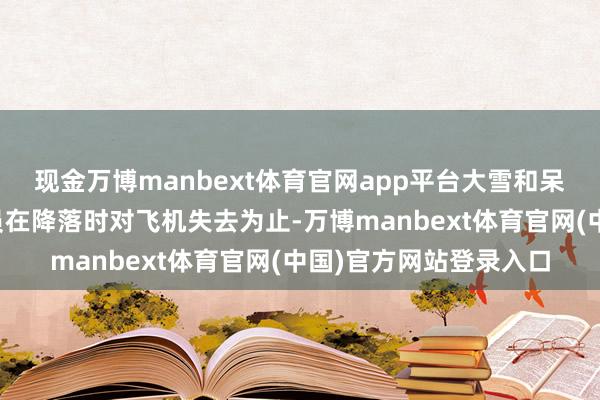 现金万博manbext体育官网app平台大雪和呆板见度可能导致航行员在降落时对飞机失去为止-万博manbext体育官网(中国)官方网站登录入口