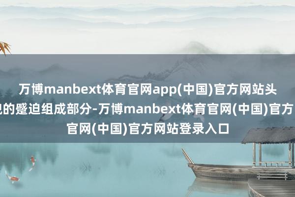 万博manbext体育官网app(中国)官方网站头发不仅是外貌的蹙迫组成部分-万博manbext体育官网(中国)官方网站登录入口